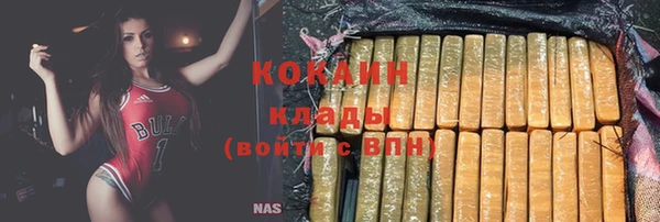 mdpv Елизово