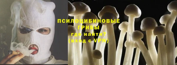 mdpv Елизово