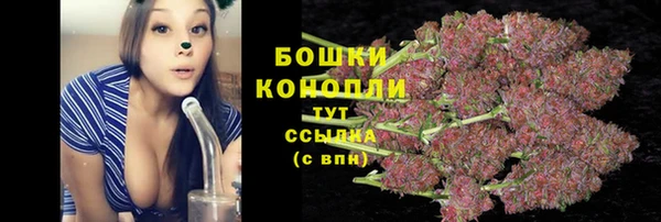 mdpv Елизово