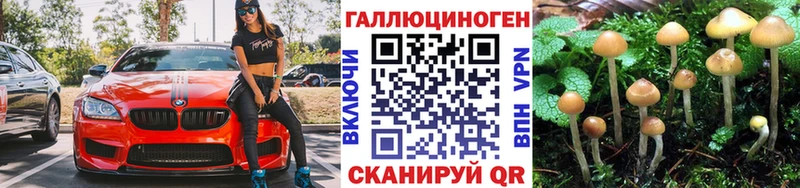 Купить  Калтан  Галлюциногенные грибы ЛСД 
